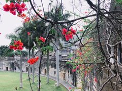 -石炮台公园