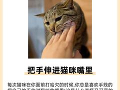 -美联众合动物医院·24h转诊中心