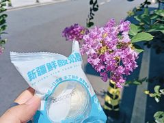 -好奶呀内蒙古甄选(蓝旗街店)