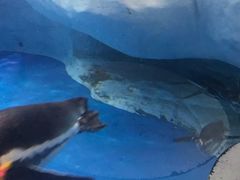 -上海海洋水族馆-停车场