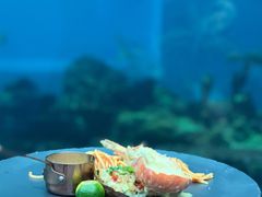 -海棠湾洲际-涛·海底餐厅·美人鱼·自助餐·海底隧道