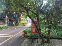 -柴火农家饭(遇龙河店)
