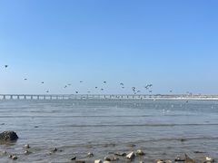 -宝安西湾红树林湿地公园