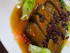 -东鸽皇(奥园·中环广场店)