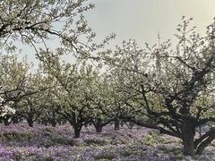 -江苏三台山国家森林公园