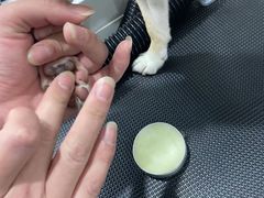 -電力宠物公司(武定路店)