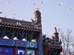 -北京国子监胡同
