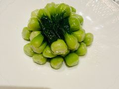 -福1088