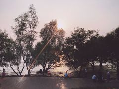 -宝安西湾红树林湿地公园