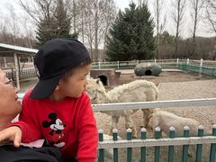 -哈尔滨北方森林动物园