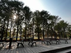 -上海海湾国家森林公园