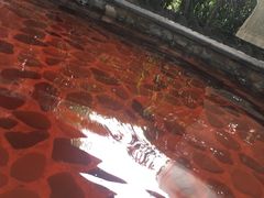 -杭州第一世界大酒店·云曼温泉