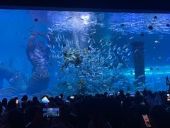 -哈尔滨波塞冬海底世界