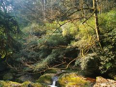 -碧峰峡风景区