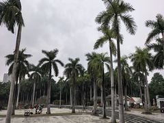 -南宁南湖公园