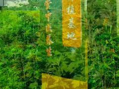-裕和堂中医推拿艾灸(太古汇臻品店)
