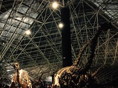 -世界恐龙谷景区