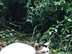 -苏州河梦清园环保主题公园