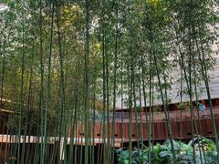 -北京望京凯悦酒店The Lounge大堂酒廊