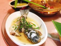 特色蒸吊水鲩鱼-园林美食城·本土农家菜(杨和镇店)