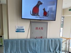 -德元·美联众合24小时动物医院(总院)