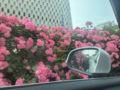 -钱江新城灯光秀