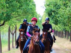 -上海长兴岛郊野公园