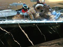 -红辣椒·川菜·火锅(张杨路店)