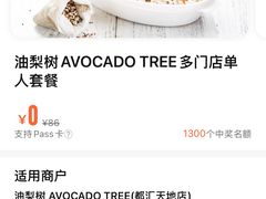 -油梨树 AVOCADO TREE(亮马桥店)
