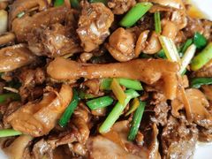 -生态苑农庄(十里画廊遇龙河店)