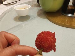 -椿记烧鹅(叠彩店)