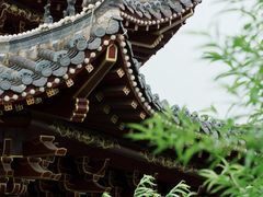 -姑婆山旅游区