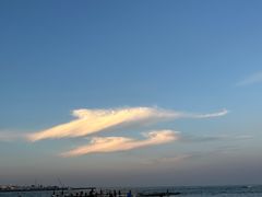 -日照海滨国家森林公园