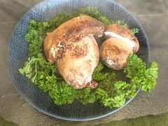 -芸山季·云南野生菌火锅(南翔印象城MEGA店)