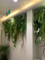 点击看大图 -卡尔诗·科技美肤连锁