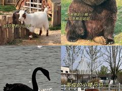 -祥源·阜阳生态乐园