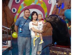 -烟台海昌鲸鲨海洋公园