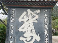 -靖西鹅泉风景区
