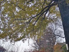 -丹山赤水风景名胜区