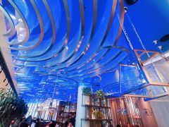 -老板恋上鱼(恒隆广场店)