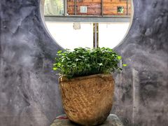 -生机蔬食·24节气料理餐厅(番禺广场店)