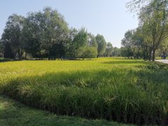 -北坞公园