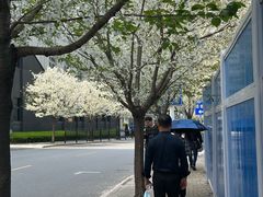 -宋庆龄陵园