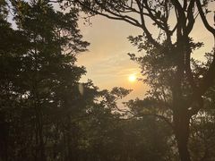 -梧桐山风景名胜区