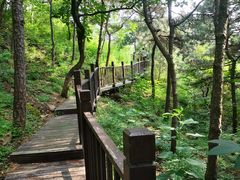 -北京十三陵国家森林公园蟒山景区