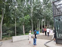 -石家庄市动物园