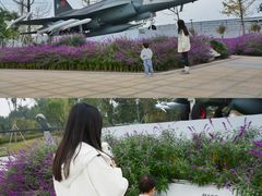 -成飞公园
