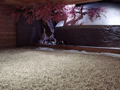 -盘锦红海温泉乐园
