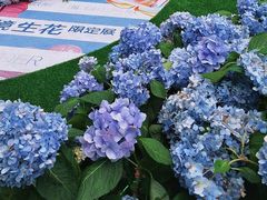 -HALO广场(梨园路店)