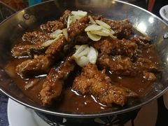 -丁老爷子苏香圆